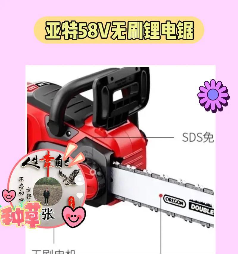 电锯使用安全指南是什么？  第1张