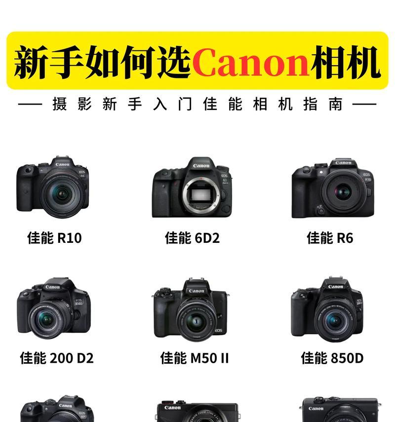 相机佳能实况怎么开？开启实况功能的步骤是什么？  第3张