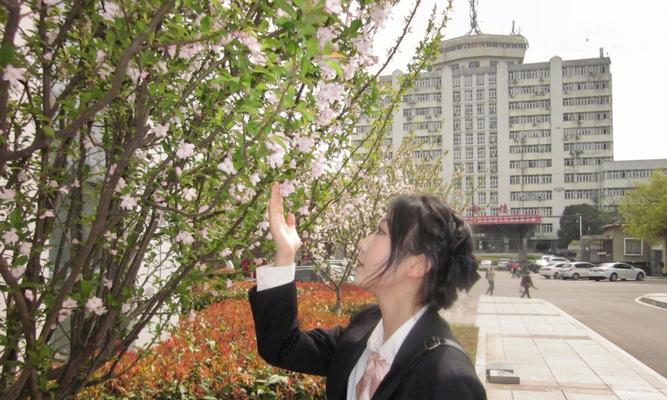 佳能ccd350拍摄技巧是什么？如何拍出高质量照片？  第1张