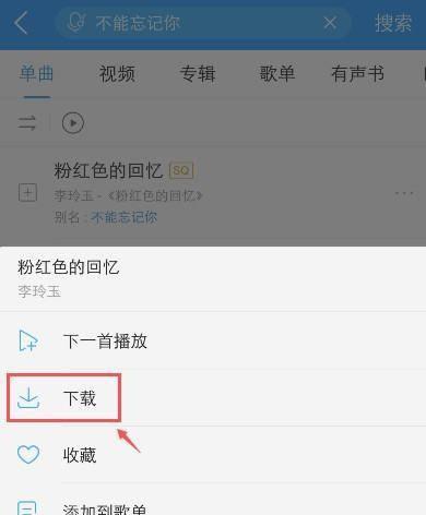 苹果手机音乐软件下载后如何找到？下载文件管理方法是什么？  第2张