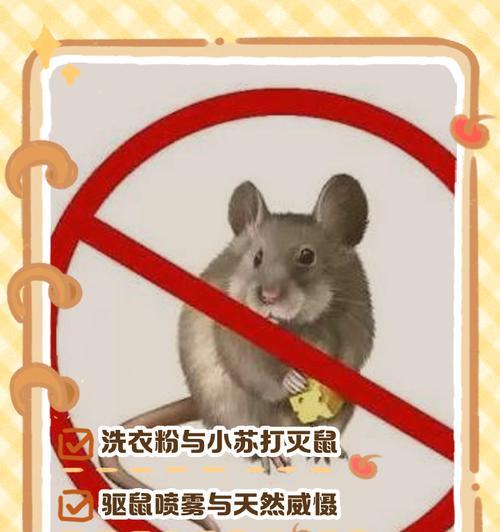 洗衣机出现老鼠的原因是什么？如何预防和处理？  第1张