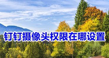 钉钉直播中如何关闭手机摄像头？  第3张