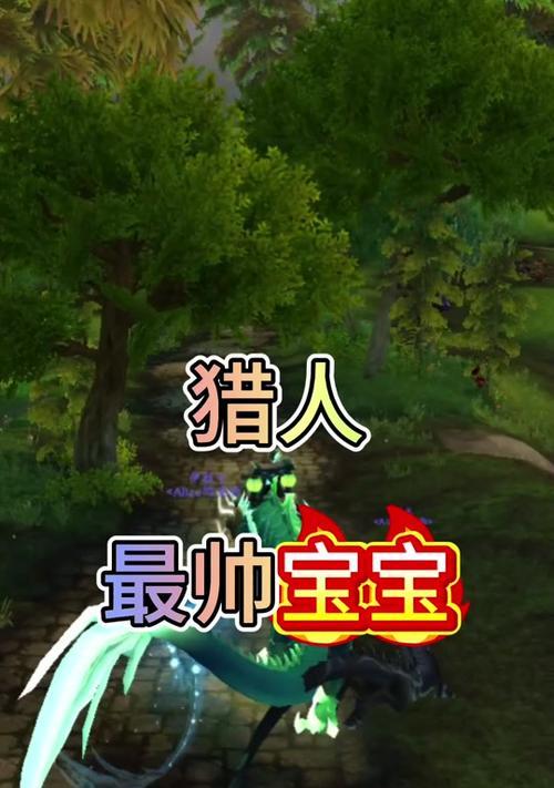 魔兽世界生存日记猎人玩法有哪些？  第2张
