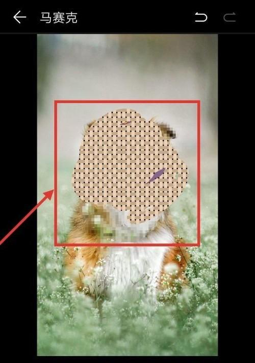 荣耀手机中如何删除照片中的人物？  第3张