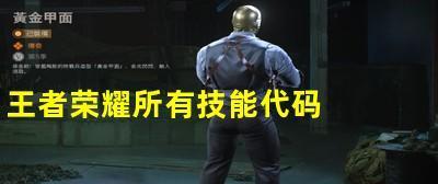 王者荣耀代码的使用方法是什么？使用错误怎么办？  第3张