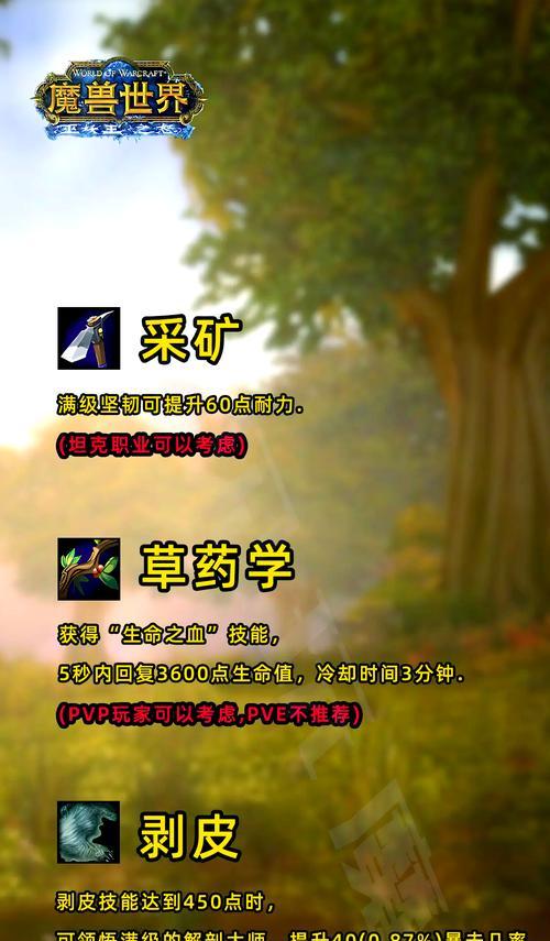 魔兽世界技能升级的有效方法是什么？  第3张