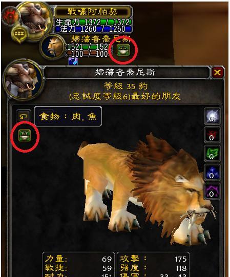 魔兽世界猎人单刷时铭文的使用方法是什么？  第3张