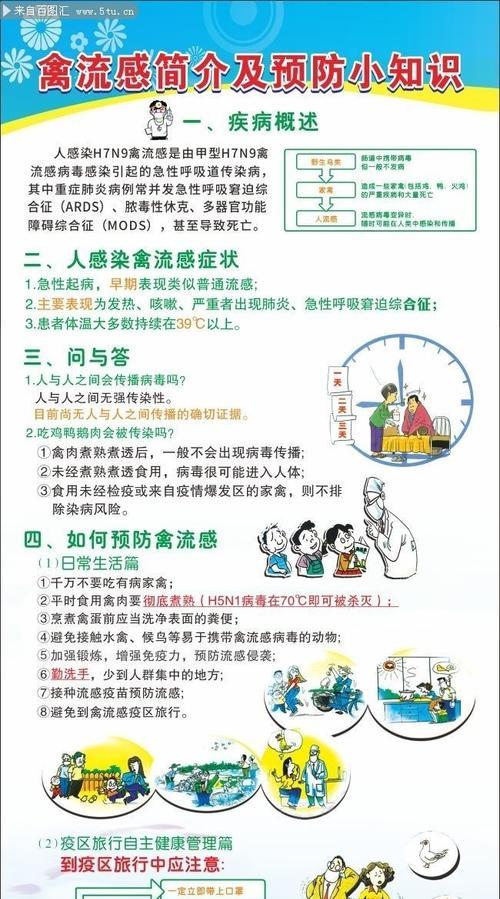 禽流感预防指南（如何保护自己和家禽安全）  第1张