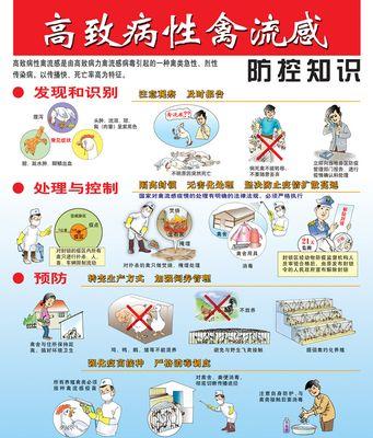 禽流感预防指南（如何保护自己和家禽安全）  第2张