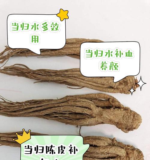 当归泡水喝的功效与方法（探秘当归泡水喝的奥秘）  第3张