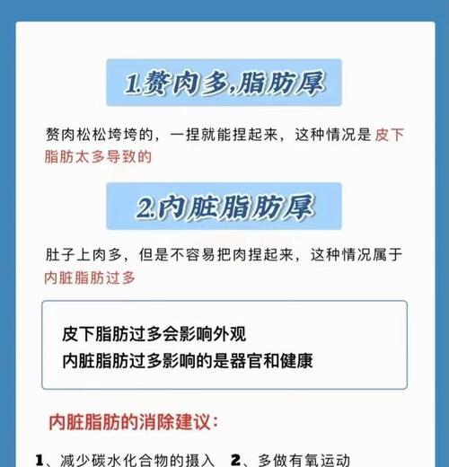 内脏脂肪含量降低的方法（从生活习惯、饮食控制到运动锻炼）  第1张