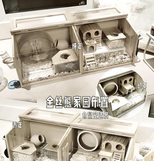DIY仓鼠房子，让它们的家更温馨（手把手教你制作适合仓鼠的房子）  第1张