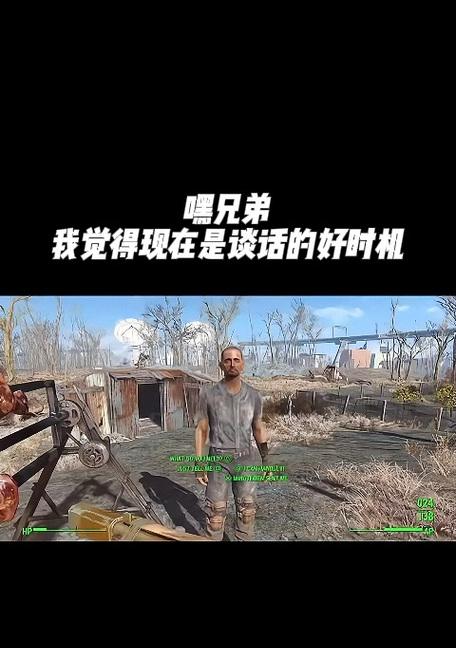 辐射4中如何开启对话环节加速？操作方法是什么？  第3张