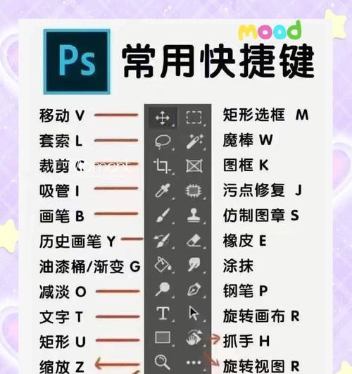 如何在PS中使用原位粘贴功能（快速粘贴图片和文本）  第2张