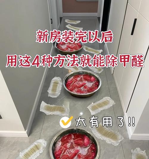 快速散去家中甲醛（15个小贴士让你轻松应对）  第3张